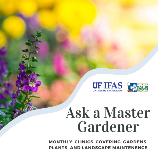 Image for event: Master Gardener Seminar